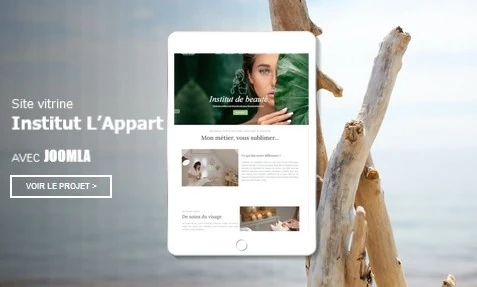 Site internet de l'Institut L'Appart réalisé par AgenceSolution à La Réunion