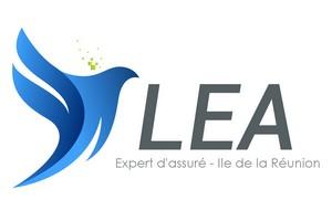Création du logo de l'entreprise Lea réunion